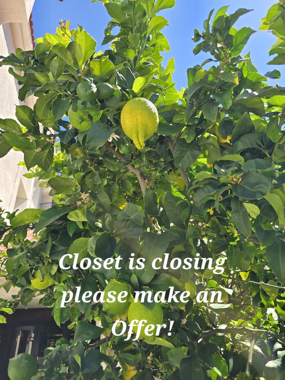 Closet Is Clossing Make An Offer